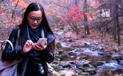 亚洲伊人色综合网色欲WWW